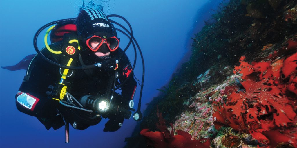 Diving in Antarctica