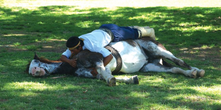 A man in traditional gaucho attire gently embracing a recumbent horse on a grassy field, demonstrating Doma India in Buenos Aires province.
