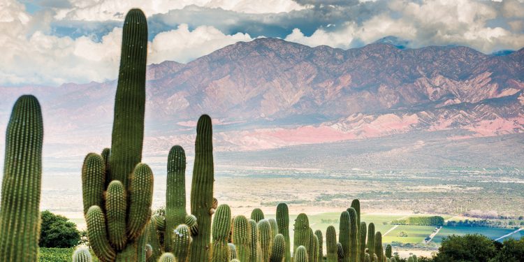 Argentina Salta Northwest Cafayate Inprotur