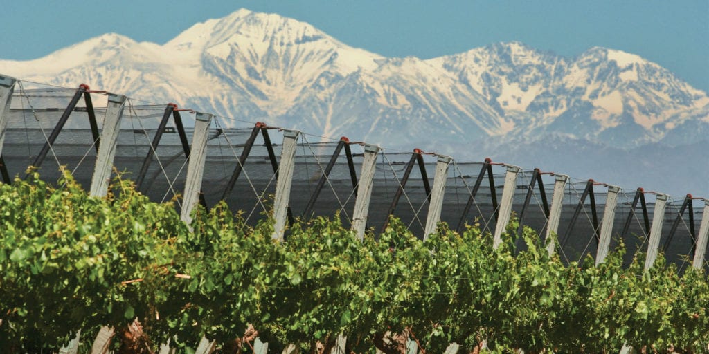 Wine country in Mendoza Argentina Furlong Contours Travel