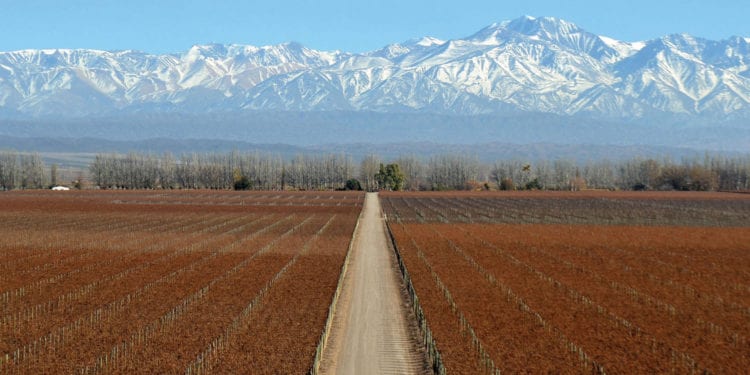 Landscape of Salentein winery and vineyard of Mendoza Argentina LuciaZirolli Furlong Contours Travel