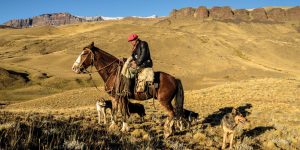 Activities horse back ride Patagonia Torres del Paine Chile Tierra Patagonia CHT5457