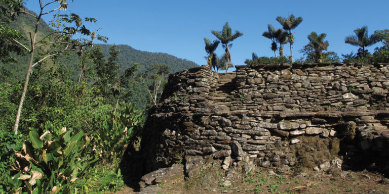 The Lost City of the Tayrona: A jungle trail leading to ancient ruins.
