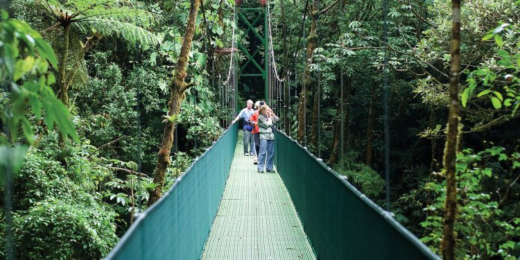 Canopy Trail in Monteverde Costa Rica Central America Contours Travel