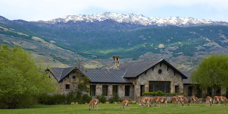 A stone lodge with a metal roof sits in a green field with guanacos grazing nearby. Snow-capped mountains are in the background.
