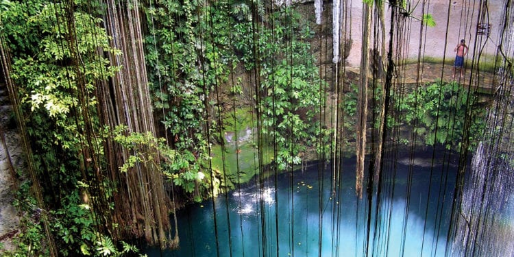 Cenote in Yucatan Mexico