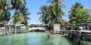 A view of a village on a small island with wooden houses, boats, and palm trees.