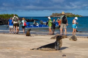 Royal Galapagos cormorant-II-exp-visit