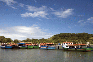 Brazil-Gondwana-Ilha do Mel 18 - Priscila Forone