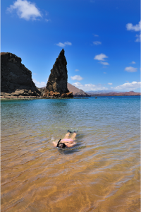 A snorkeler exploring the crystal-clear waters of the Galapagos Islands.
