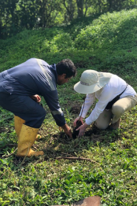 A volunteer planting a tree at Pikaia Lodge in the Galapagos Islands.