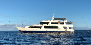 The Pikaia I yacht, sailing through the pristine waters of the Galapagos Islands.