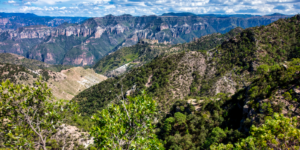 Copper Canyon landscape with cliffs and greenery.