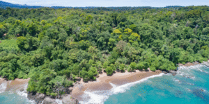 Aerial view of dense rainforest meeting a pristine beach on the Osa Peninsula, Costa Rica.
