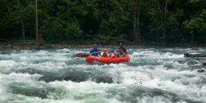 A group of people white-water rafting on the Pacuare River in Costa Rica.