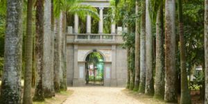 A path lined with tall palm trees leading to a grand entrance in a botanical garden.