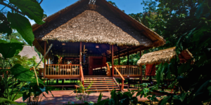Exterior view of the Tambopata Research Center lobby, featuring a thatched roof, wooden construction, and tropical plants.