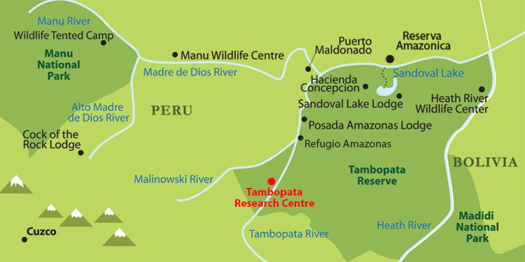 Tambopata-Research-Centre-Peru-Amazonas
