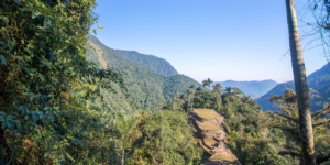 Lush jungle landscape with mountain peaks in the distance.