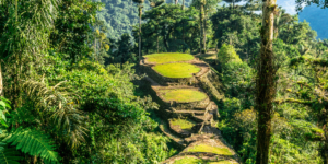 The Lost City of the Tayrona: A jungle trail leading to ancient ruins.