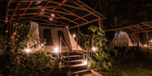 Thatched-roof camp nestled in the lush Uaxactun rainforest.