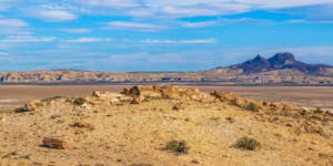 A panoramic view of the Petrified Forest in Chubut, Argentina, showcasing the towering petrified trunks of ancient trees against a clear blue sky.