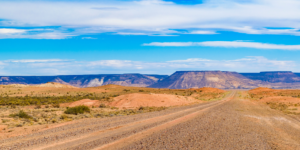A panoramic view of the Petrified Forest in Chubut, Argentina, showcasing the towering petrified trunks of ancient trees against a clear blue sky.