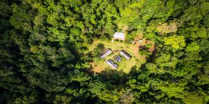 Atta Rainforest Lodge, with its thatched-roof buildings, nestled in a clearing within a dense rainforest, as seen from above.