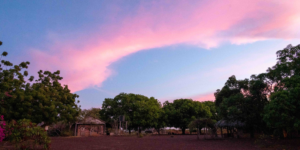 Pink and purple clouds fill the sky at sunrise over the grounds of Karanambu Lodge, with trees and a building silhouette in the foreground.