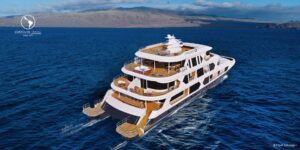 Royal Galapagos