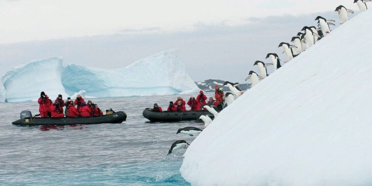 Antarctica, Patagonia & beyond 2019
