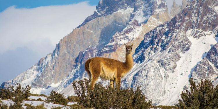 Michelle & Paul, Patagonia 2018