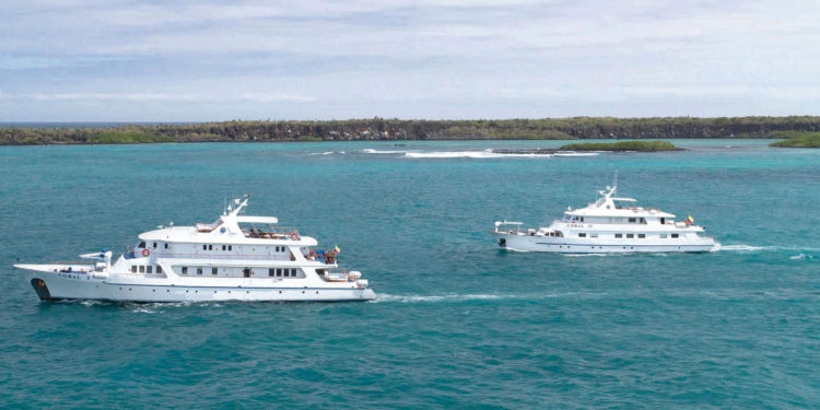 Corals I & II (D South; Wed to Sun)