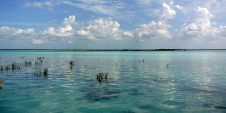 landscape of Bacalar lagoon in Mexico. Contours Travel