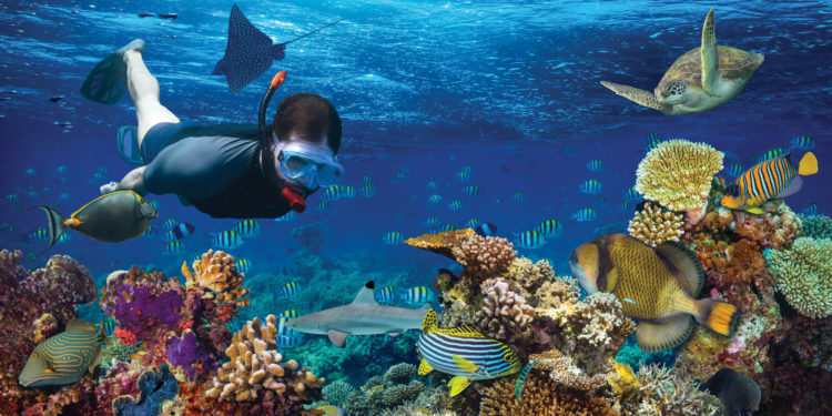 Central America Cruise Explorer