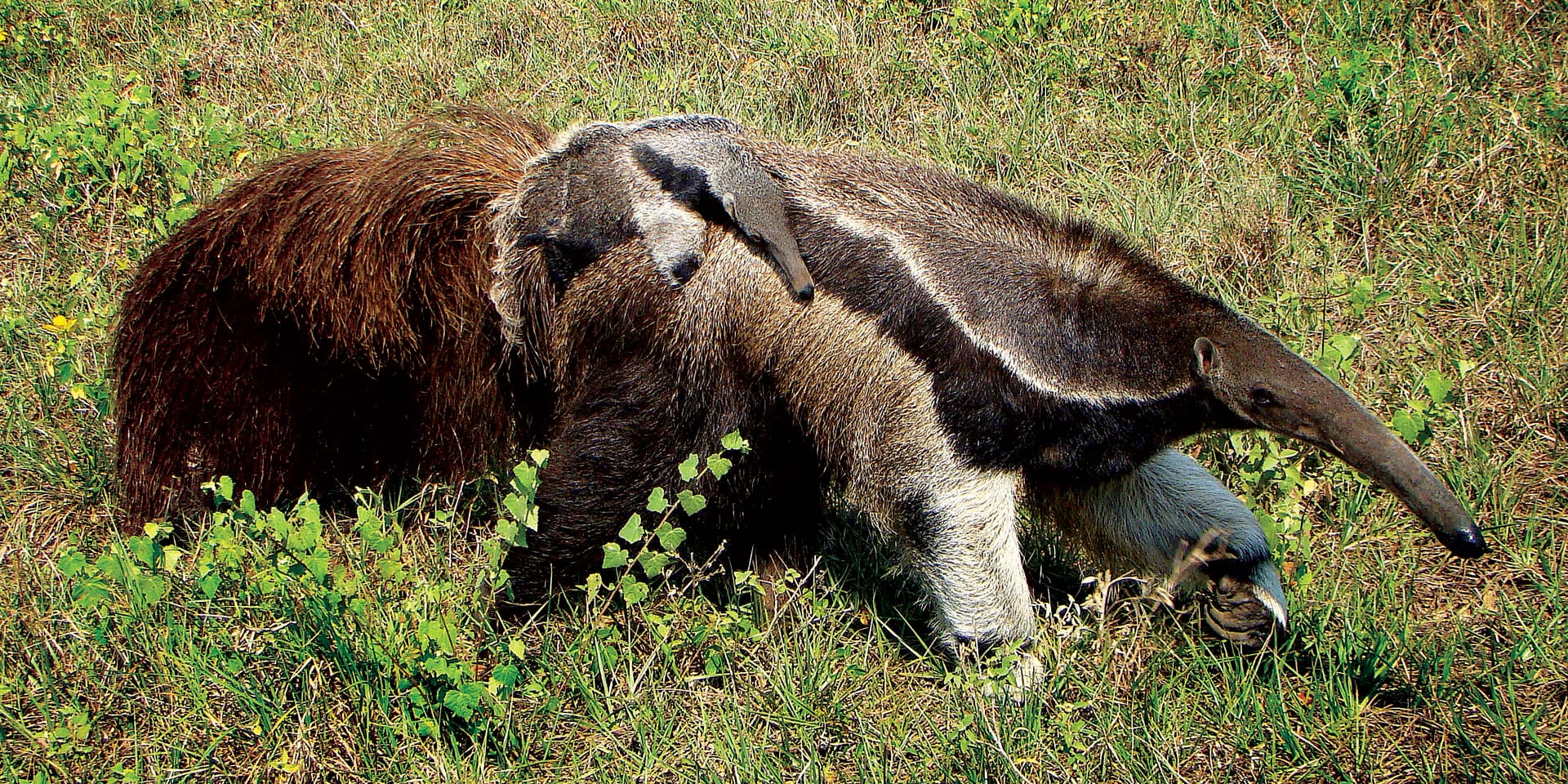 Places to visit in Paraguay | Contours Travel | Experts in tailor-made tours