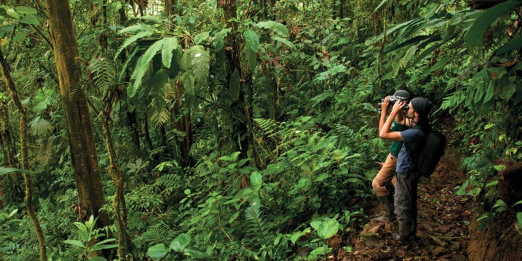 Ecuador Natural Selection: Cloud Forest to Galapagos